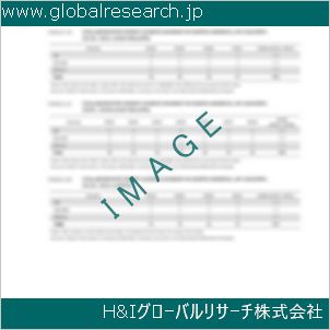 グローバルリサーチ調査資料のイメージ